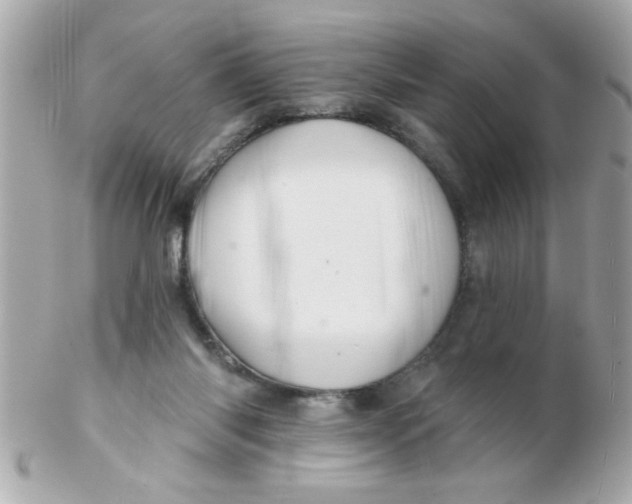 X0000102540118200808291850