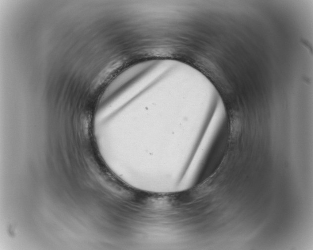 X0000102540120200808291850