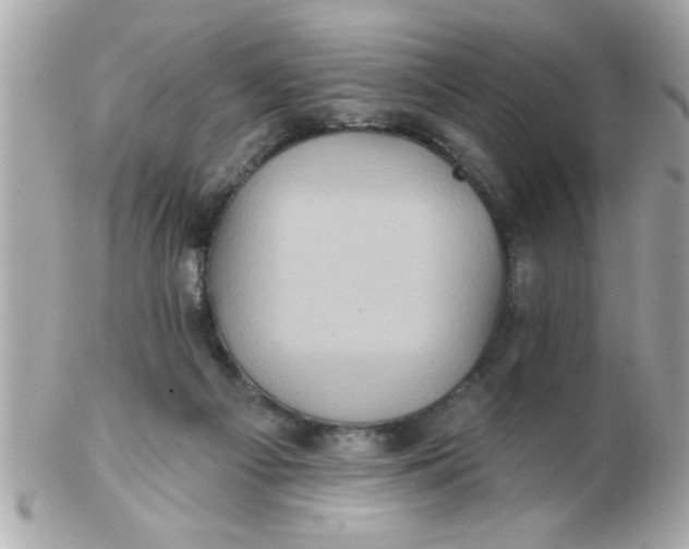 X0000102540121200808291850