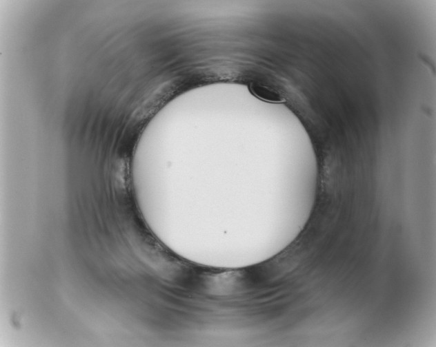 X0000102540122200808291850