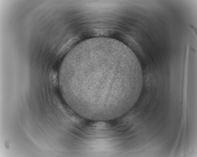 X0000102540123200808291850