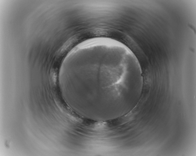 X0000102540124200808291850