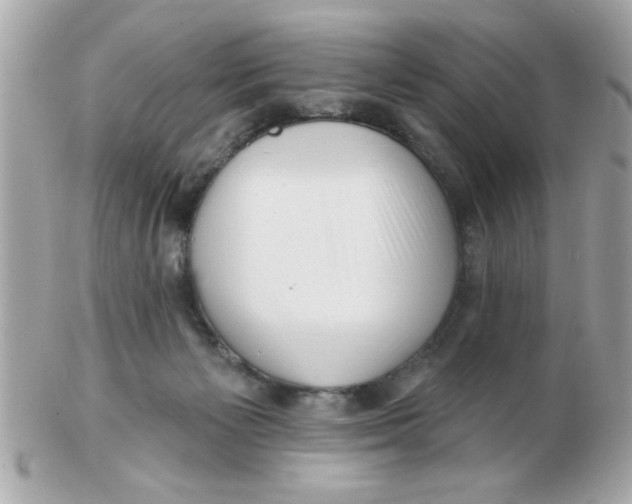 X0000102540125200808291850