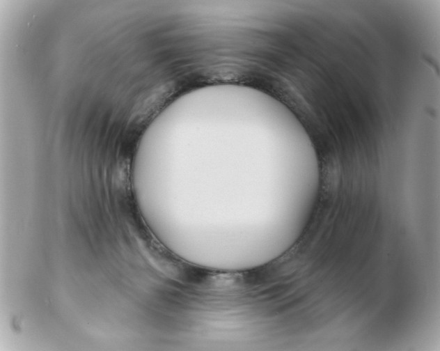 X0000102540126200808291850