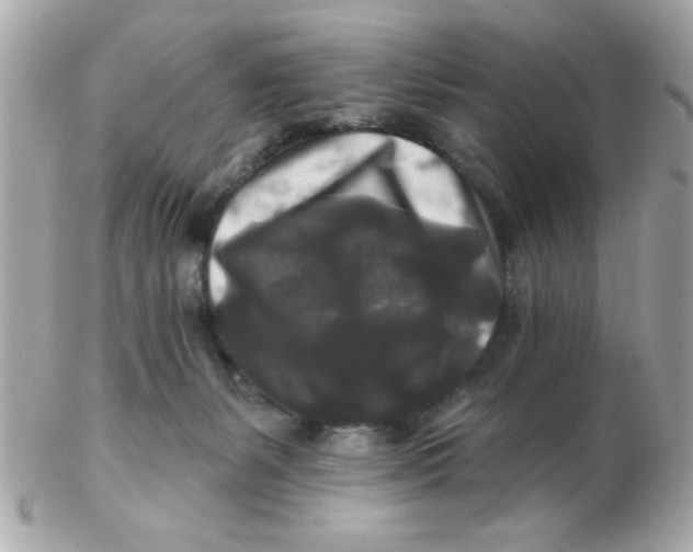 X0000102540127200808291850