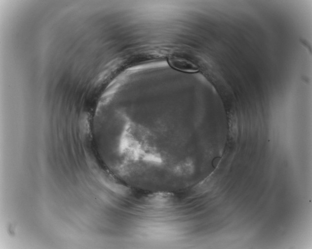 X0000102540128200808291850