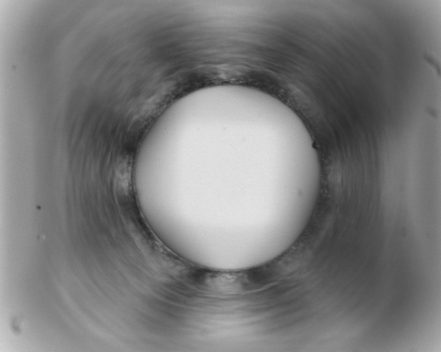 X0000102540129200808291850