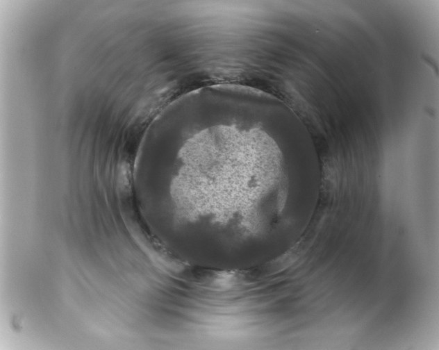 X0000102540130200808291850