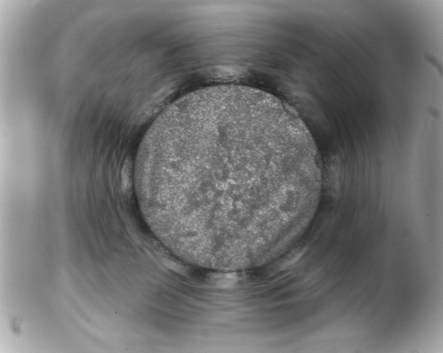 X0000102540131200808291850