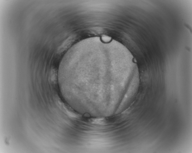 X0000102540132200808291850