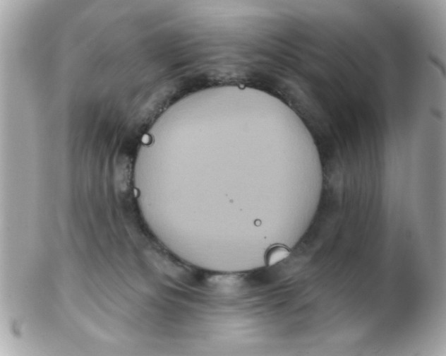 X0000102540133200808291850