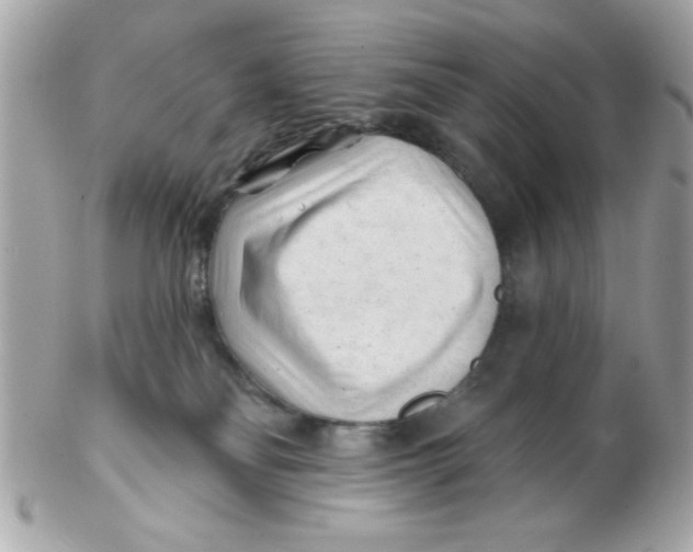 X0000102540134200808291850