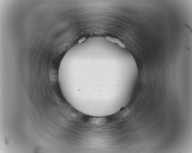 X0000102540135200808291850