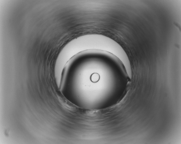 X0000102540136200808291850