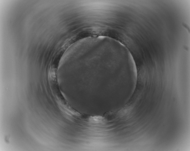 X0000102540137200808291850