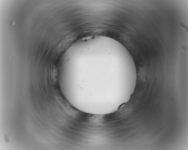 X0000102540138200808291850