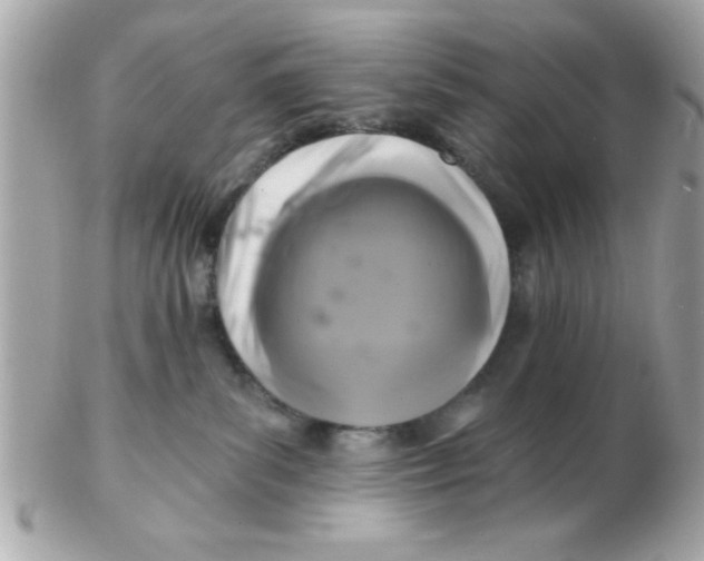 X0000102540139200808291850