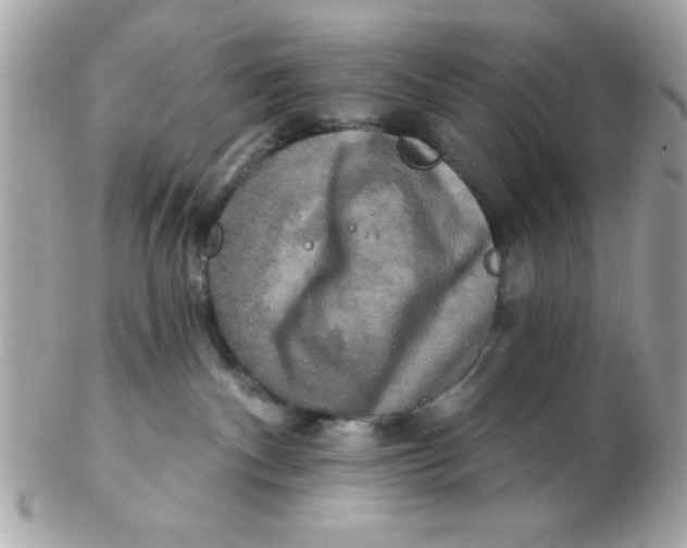 X0000102540140200808291850