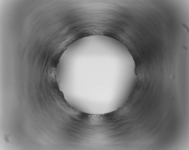 X0000102540141200808291850