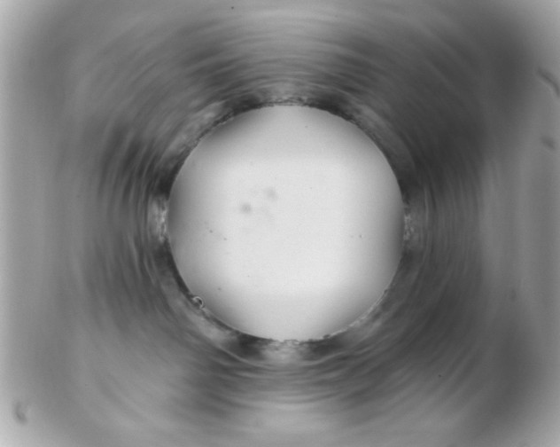 X0000102540142200808291850