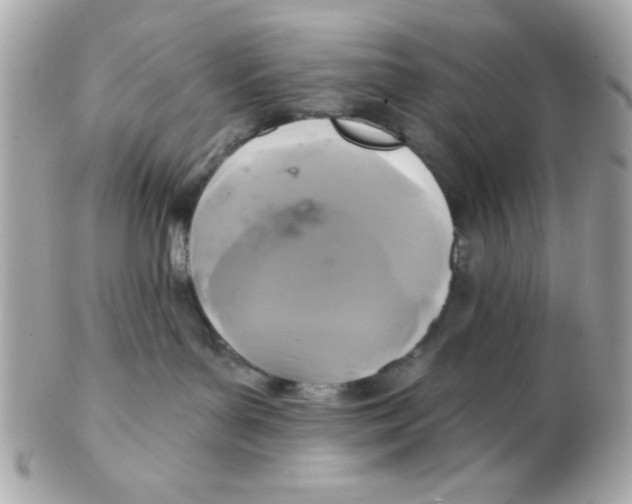 X0000102540143200808291850