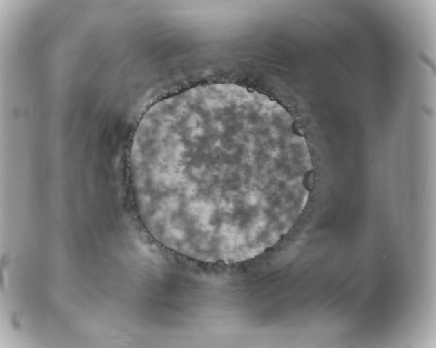 X0000102540144200808291850