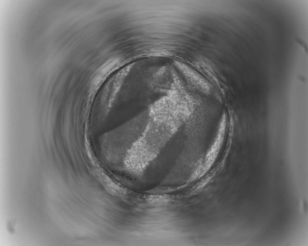 X0000102540145200808291849