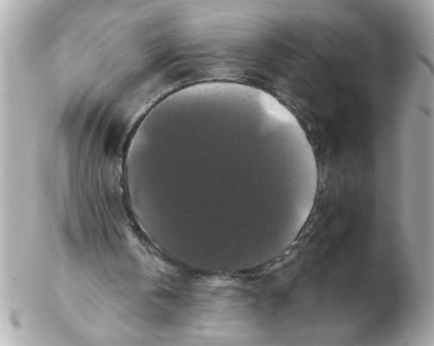 X0000102540146200808291849