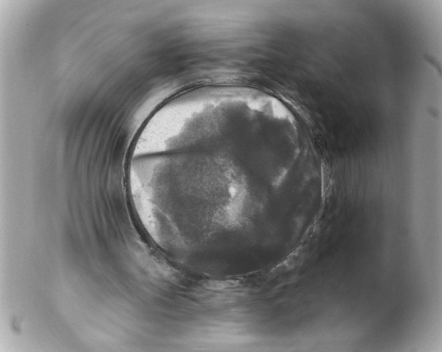 X0000102540147200808291849