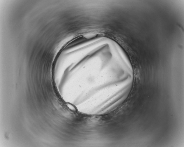 X0000102540148200808291849