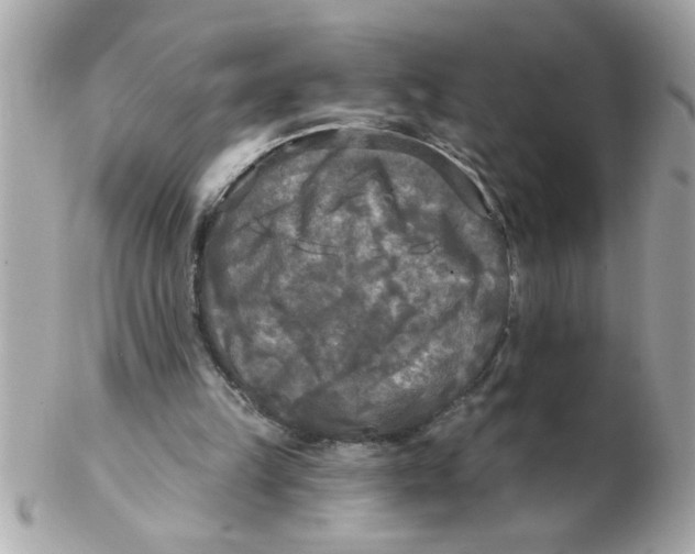 X0000102540149200808291849