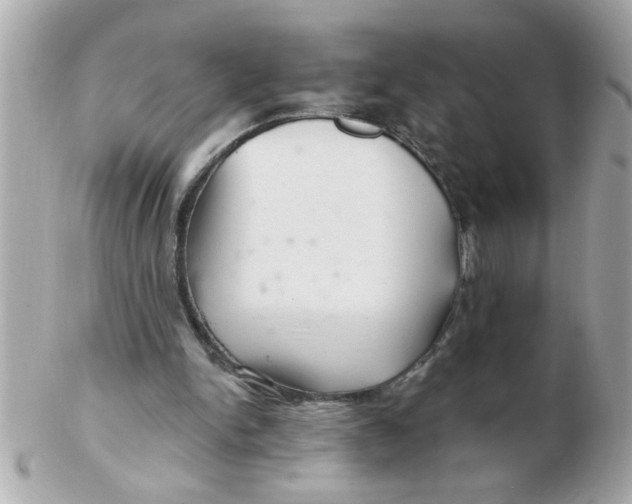 X0000102540150200808291849