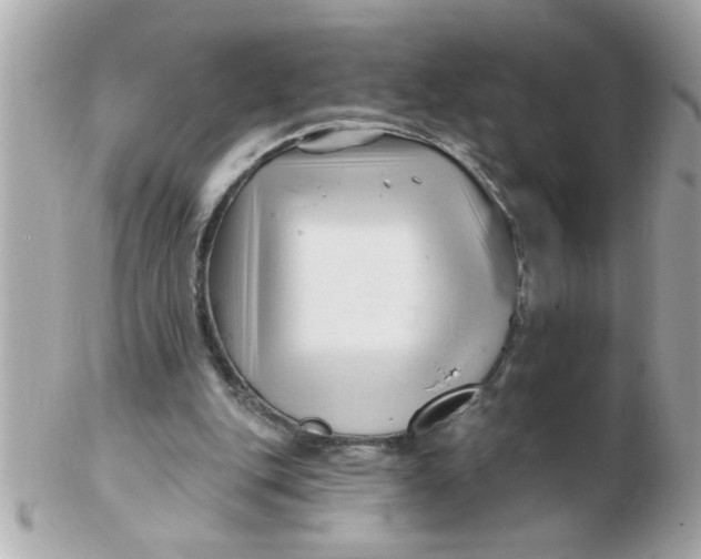 X0000102540151200808291849