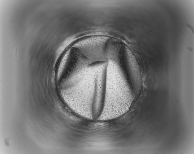 X0000102540152200808291849