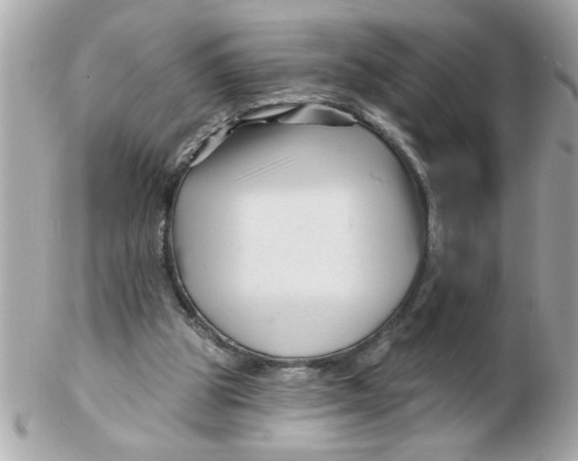 X0000102540153200808291849