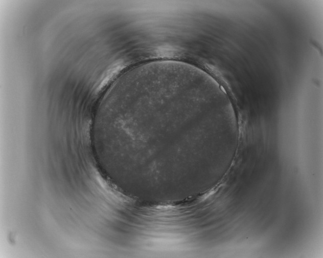 X0000102540154200808291849