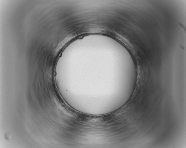 X0000102540155200808291849