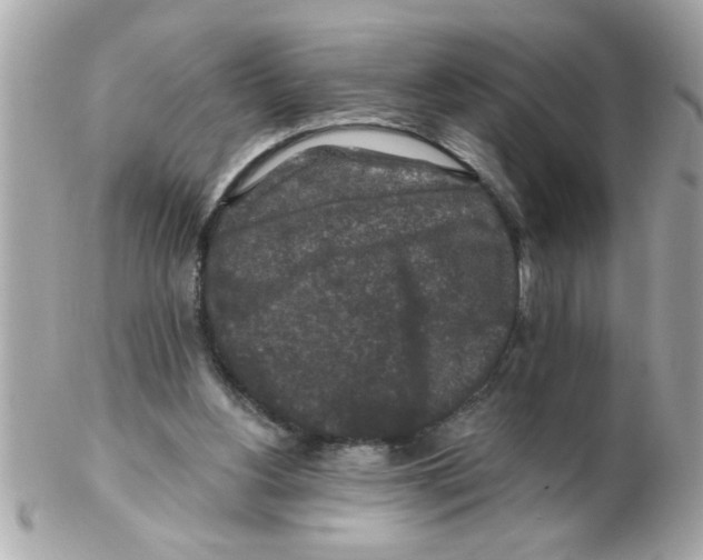 X0000102540156200808291849