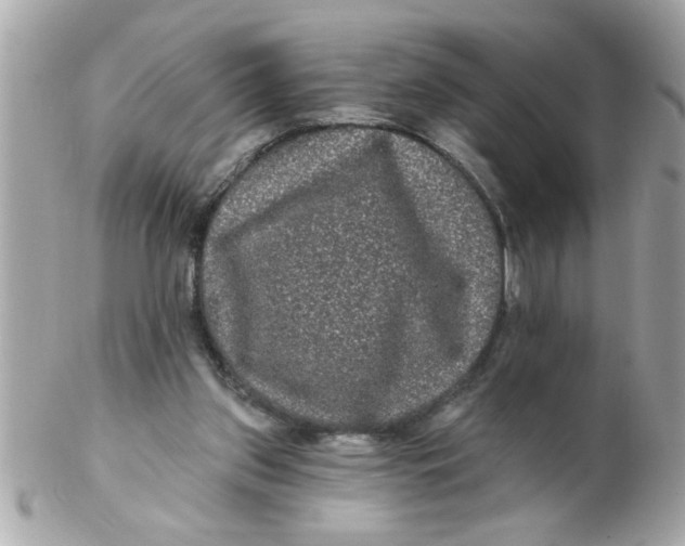 X0000102540157200808291850