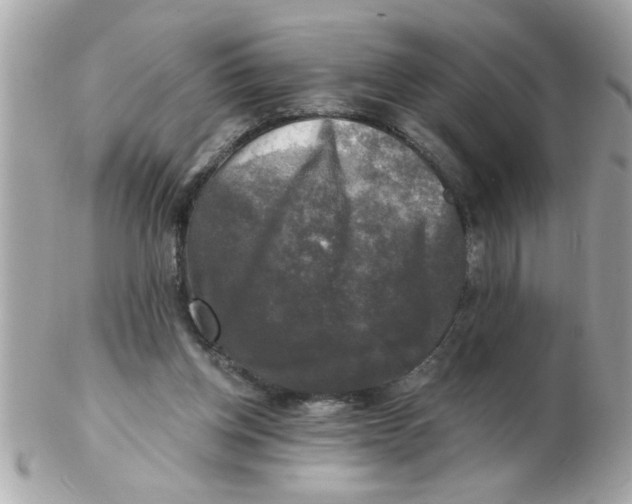 X0000102540158200808291850