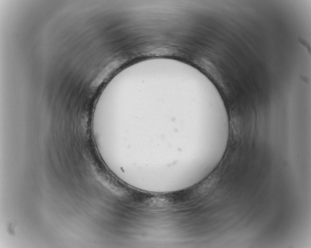 X0000102540159200808291850