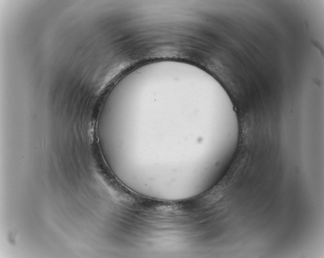 X0000102540160200808291850