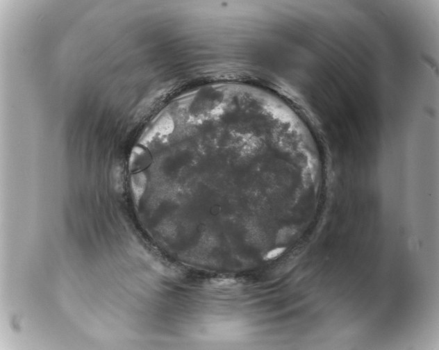 X0000102540161200808291850