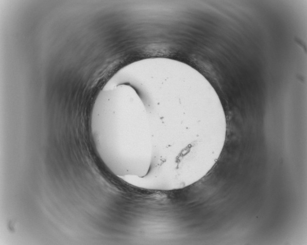 X0000102540162200808291850