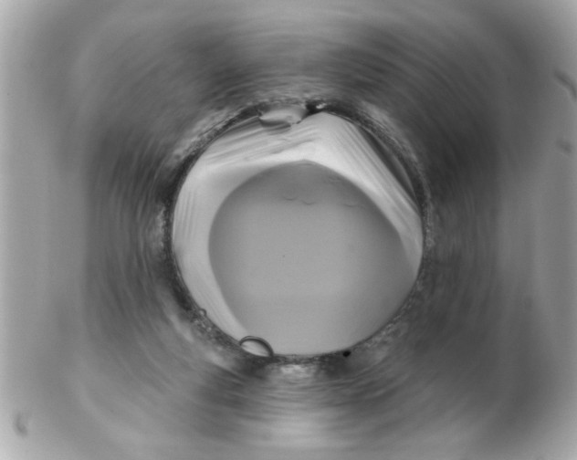 X0000102540163200808291850