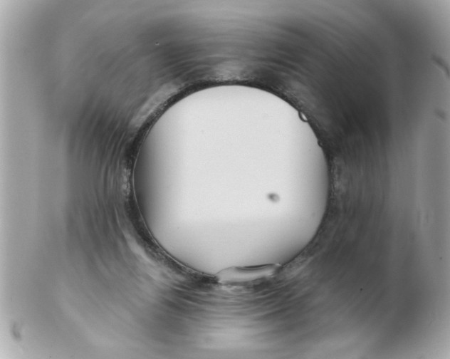 X0000102540164200808291850