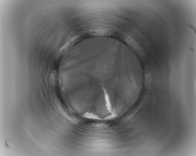 X0000102540165200808291850