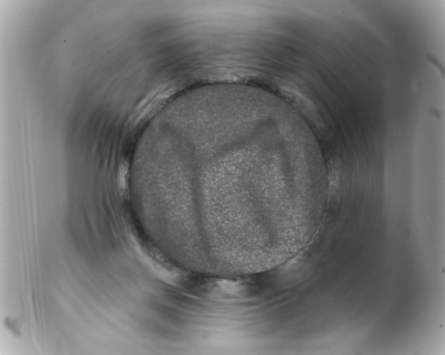 X0000102540166200808291850