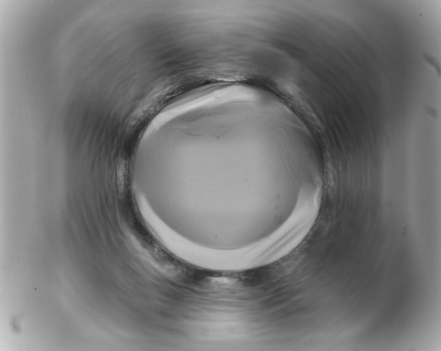 X0000102540167200808291850