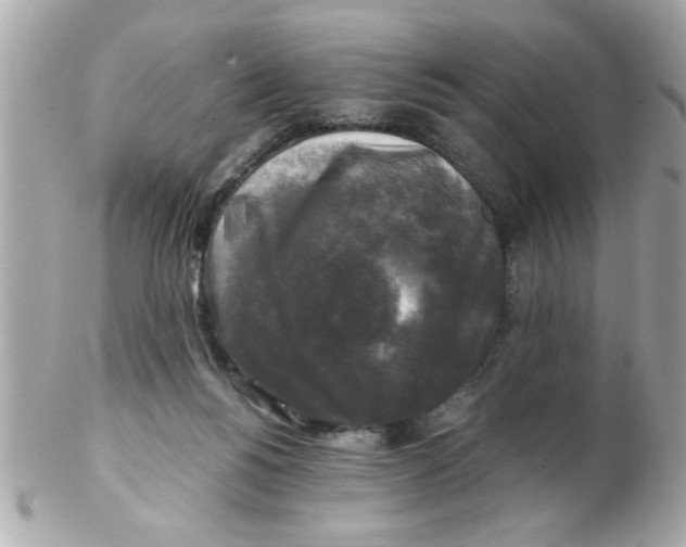 X0000102540168200808291850